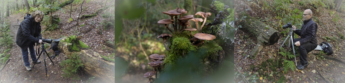 Furlbachtal - M. Ludolph-Web