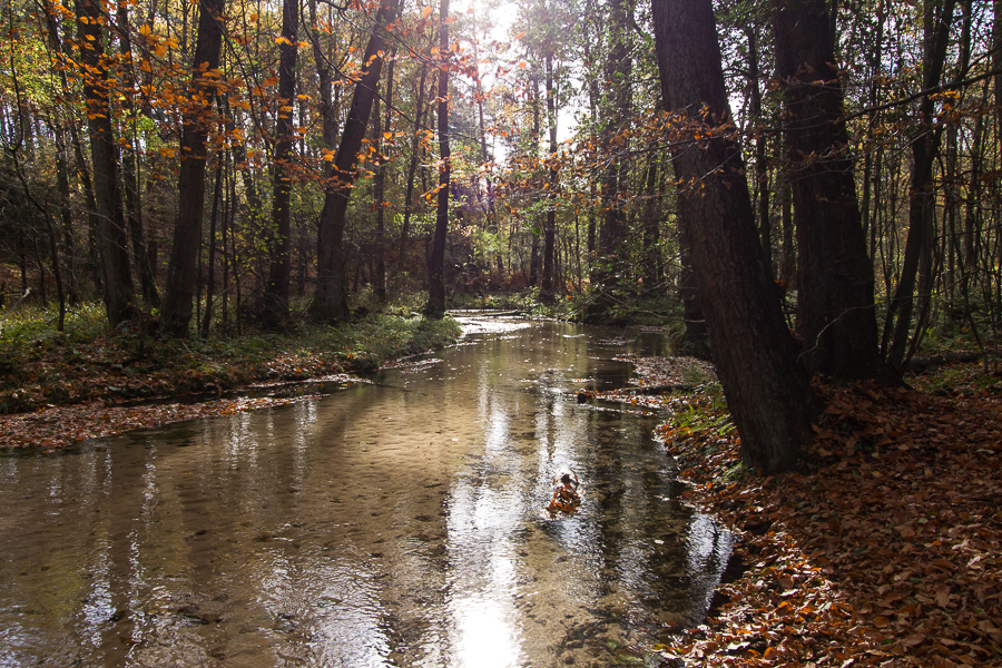 Furlbachtal-2012-Foto-Teresia Kuhr-Okt-1